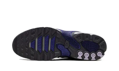 Nike Air Max Air Max Plus Drift 'Concord'