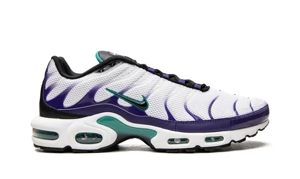 Nike Lifestyle Air Max Plus 'Grape' 