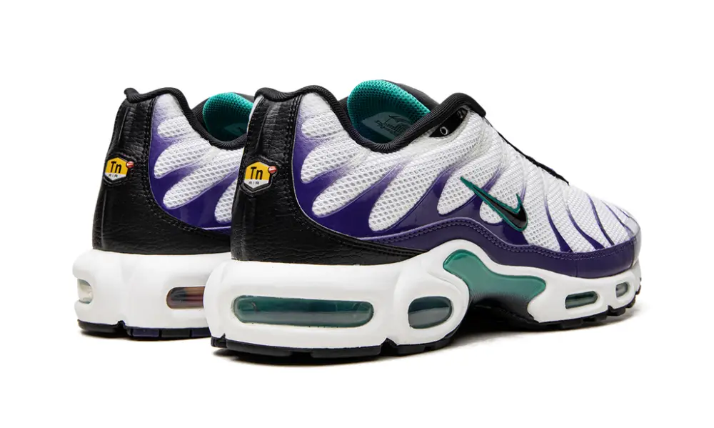 Nike Lifestyle Air Max Plus 'Grape'