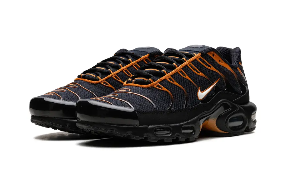 Nike Air Max Air Max Plus 'OBSIDIAN MONARCH' 