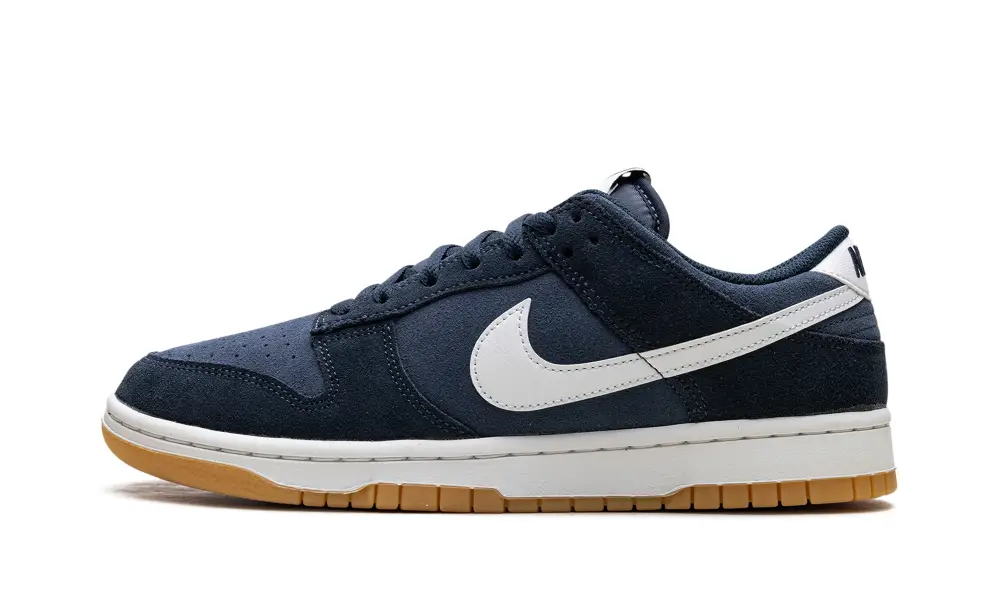 Nike Dunk Dunk Low Retro SE 'Monsoon Blue'