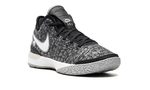 Nike Basketball Zoom LeBron NXXT Gen 'Black   Wolf Grey' 