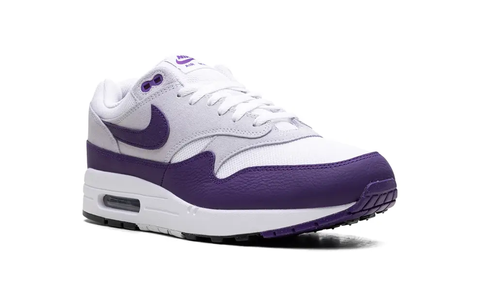 Nike Lifestyle Air Max 1 SC 'Field Purple' 
