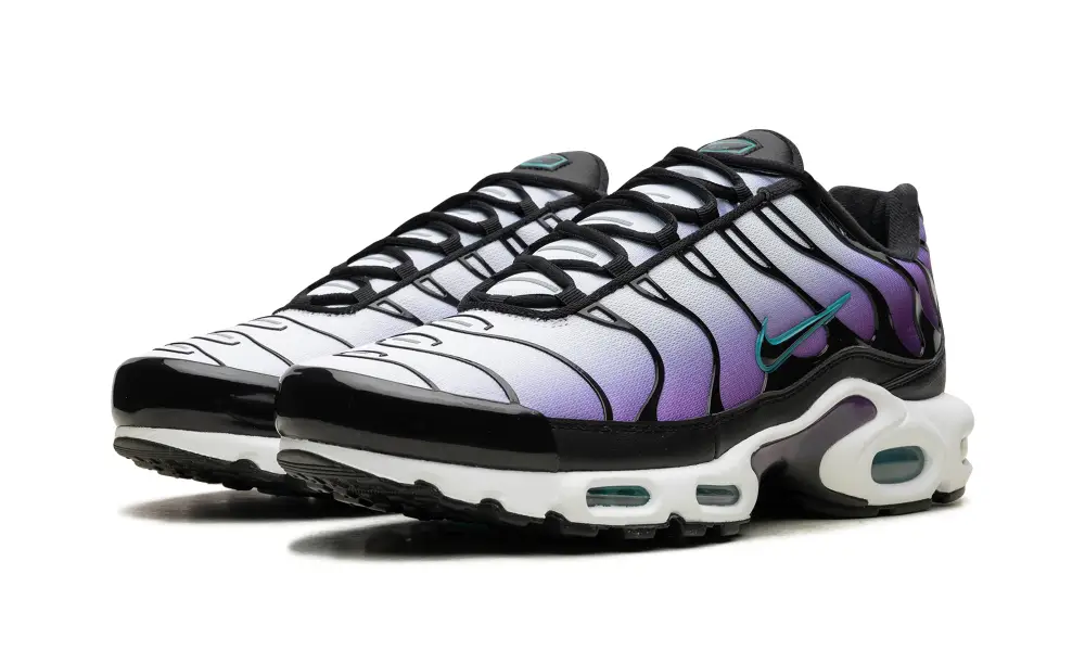 Nike Air Max Air Max Plus 'Reverse Grape'