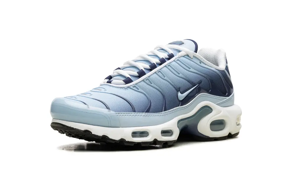 Nike Air Max NIKE AIR MAX PLUS WMNS 'Celestine Blue'