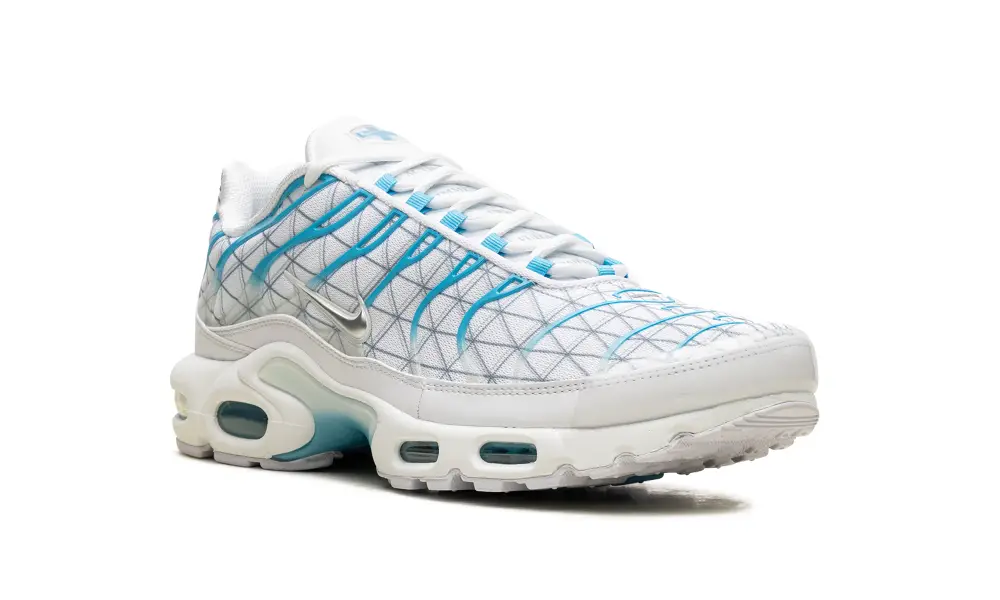 Nike Air Max Air Max Plus 'Marseille'