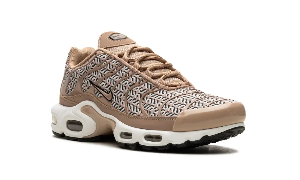 Nike Air Max AIR MAX PLUS WMNS 'United In Victory' 
