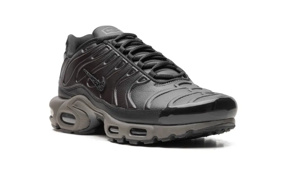 Nike Air Max Air Max Plus 'Black Tea   Petra Brown' 'Black Tea   Petra Brown' 