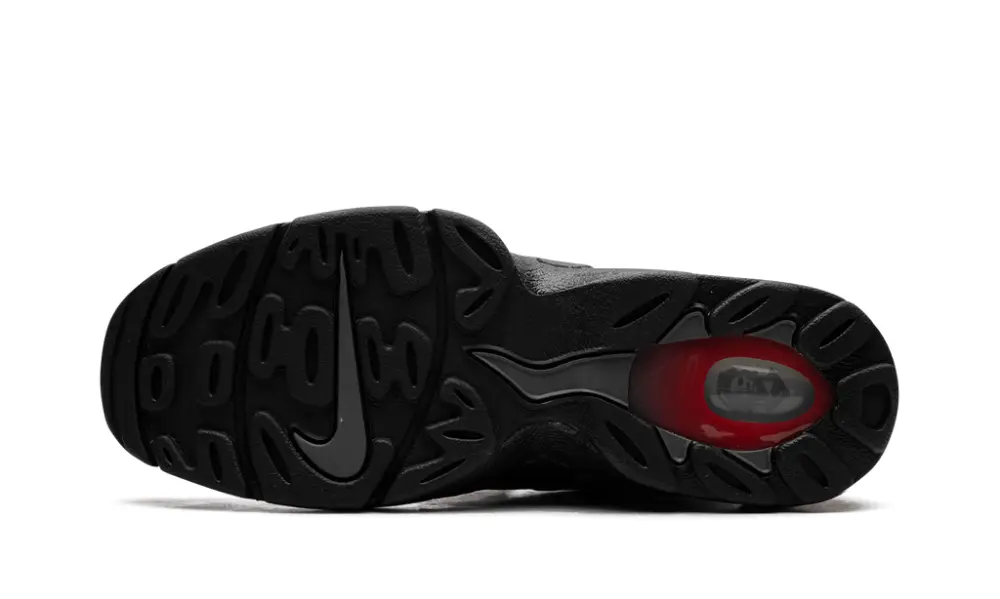 Nike Air Max AIR DT MAX '96 'Falcons' 