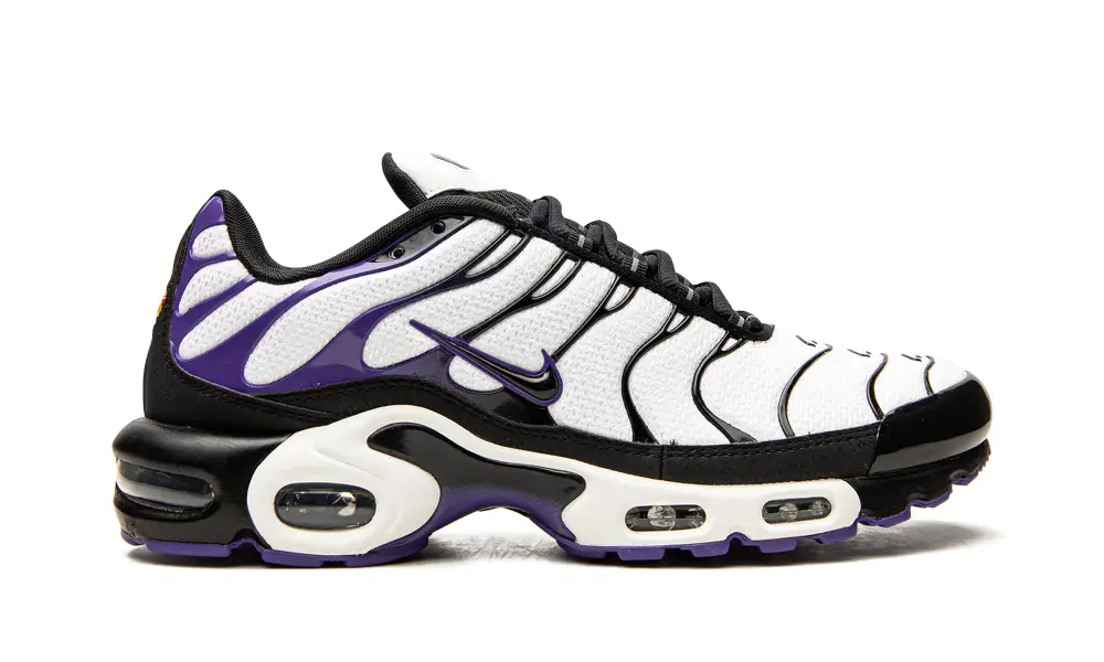 Nike Air Max Air Max Plus 'Persian Violet'