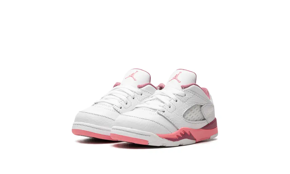 Air Jordan 5 Air Jordan 5 Low TD 'Fundamental' 