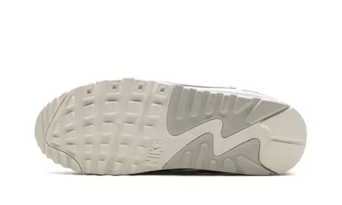 Nike Air Max Air Max 90 Futura WMNS 'Give Her Flowers' 