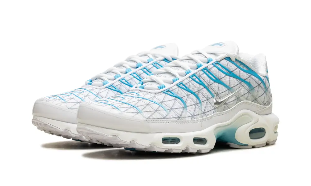 Nike Air Max Air Max Plus 'Marseille'