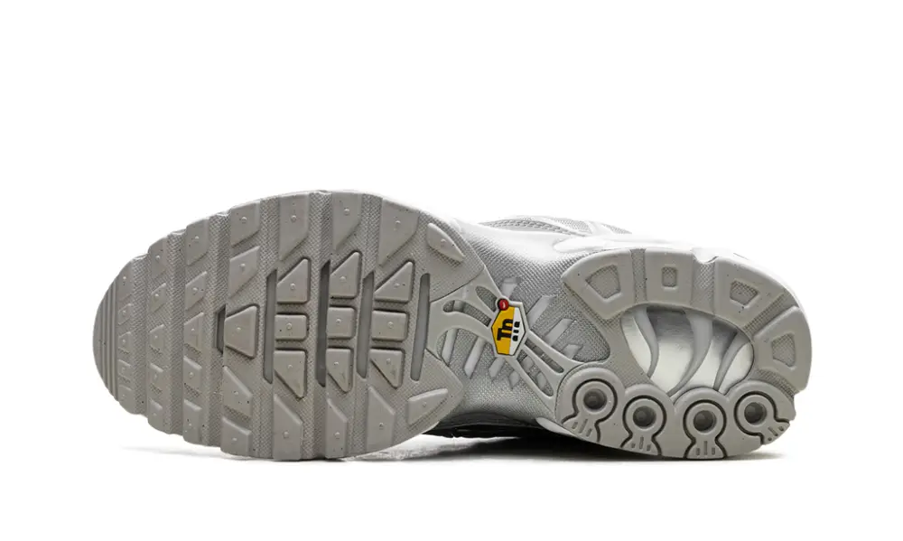 Nike Air Max Air Max Plus 'Metallic Silver'