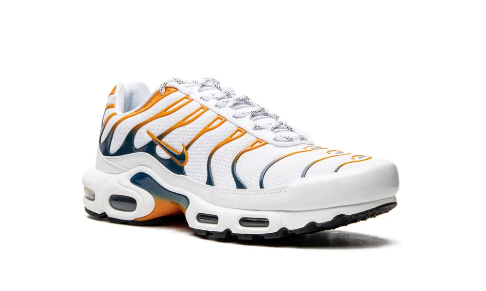 Nike Lifestyle Air Max Plus 'Hiking' 
