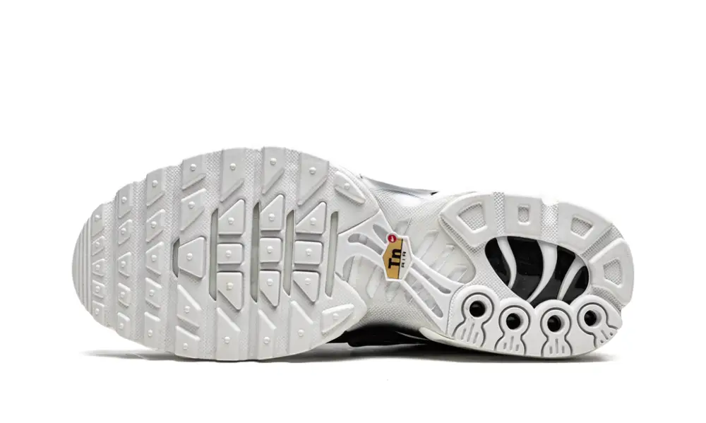 Nike Air Max AIR MAX PLUS MNS WMNS 'Black   White' 