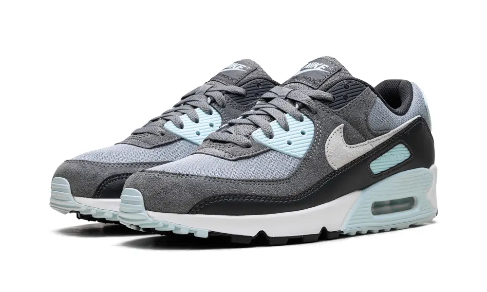 Nike Air Max Air Max 90 'Pumice'