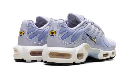 Nike Air Max Air Max Plus WMNS 'Daybreak' 
