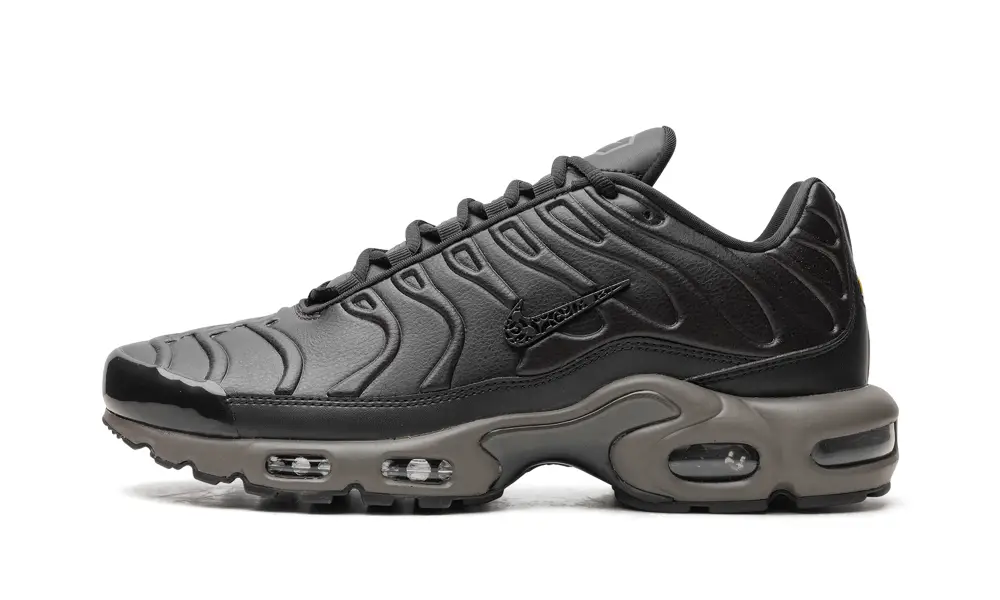 Nike Air Max Air Max Plus 'Black Tea Petra Brown' 'Black Tea Petra Brown'
