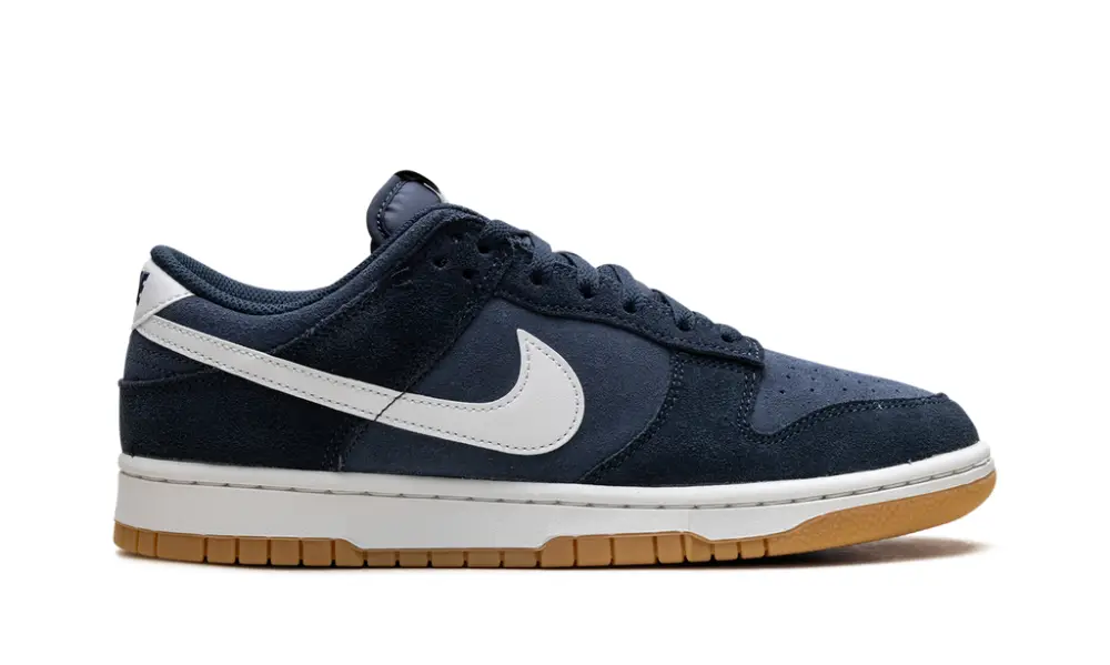 Nike Dunk Dunk Low Retro SE 'Monsoon Blue'