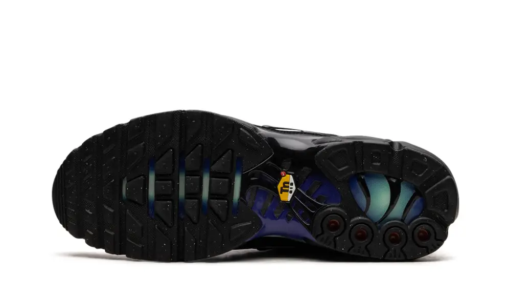 Nike Air Max Air Max Plus 'Berlin Unity' 