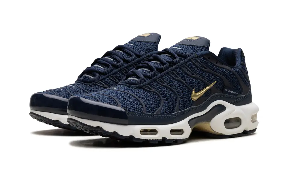 Nike Air Max Air Max Plus 'FFF' 