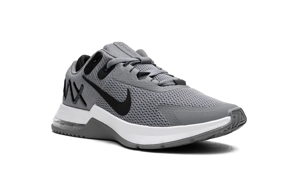 Nike Lifestyle Air Max Alpha Trainer 4