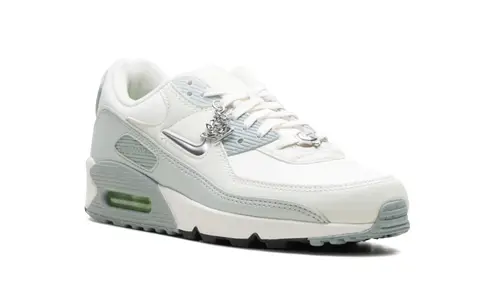 Nike Air Max Air Max 90 WMNS 'Silver'