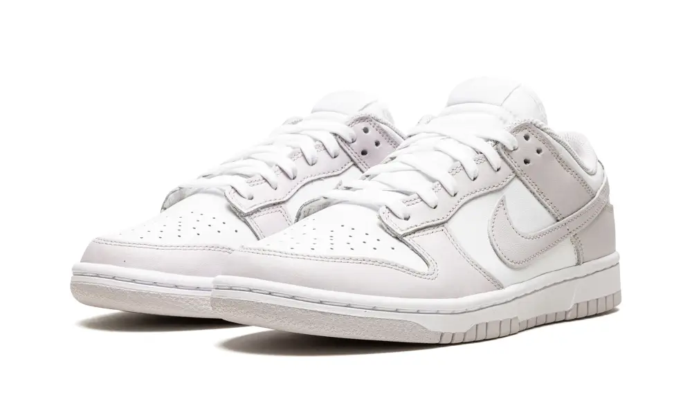 Nike Dunk DUNK LO MNS WMNS 'Venice'