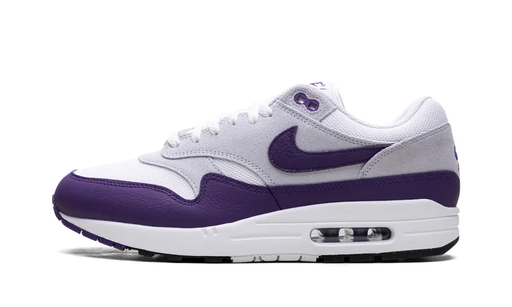 Nike Lifestyle Air Max 1 SC 'Field Purple' 