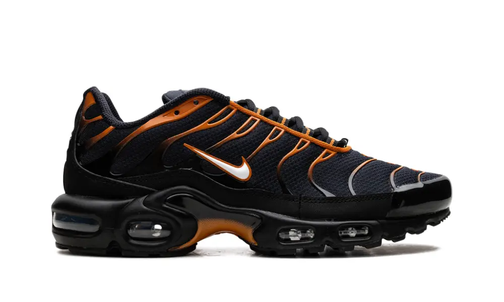 Nike Air Max Air Max Plus 'OBSIDIAN MONARCH'