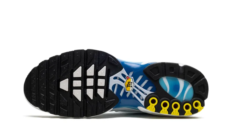 Nike Air Max Air Max Plus 'Blue Gaze' 