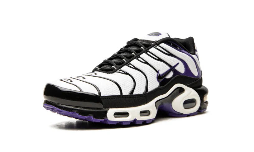 Nike Air Max Air Max Plus 'Persian Violet' 