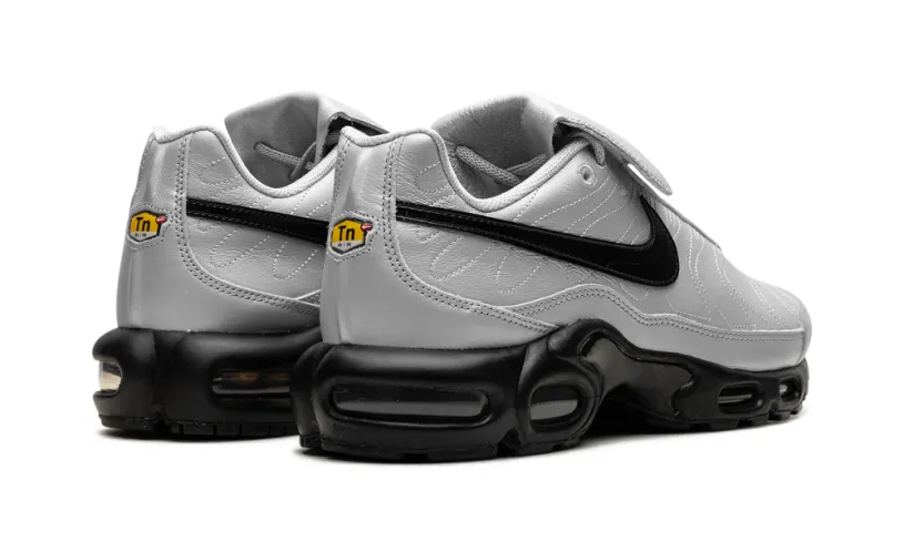 Nike Air Max Air Max Plus 'Wolf Grey' 