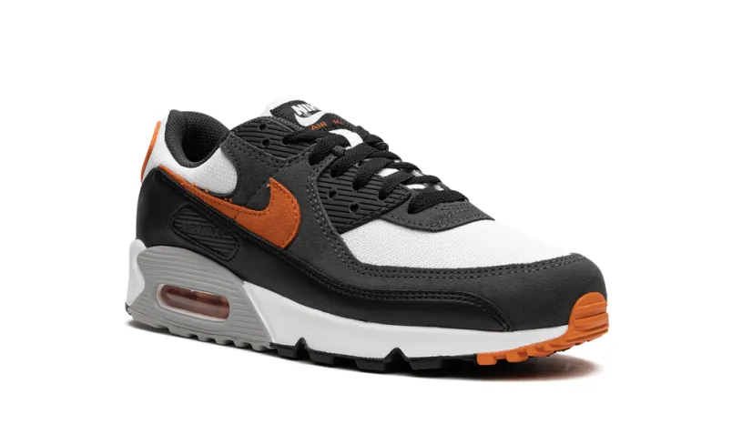 Nike Air Max Air Max 90 'Starfish'