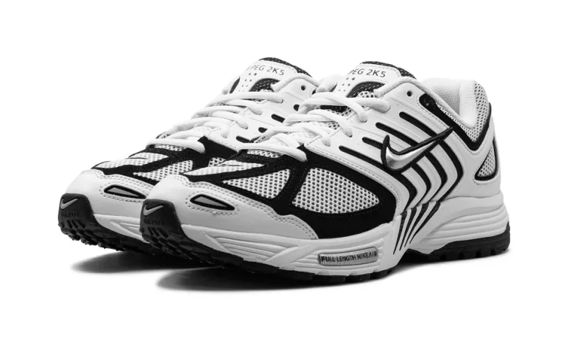 Nike Lifestyle Air Pegasus 2K5 'White   Black' 