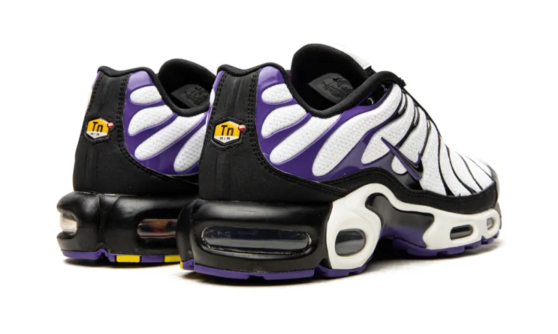 Nike Air Max Air Max Plus 'Persian Violet' 