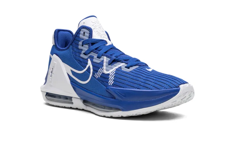 Nike Basketball Lebron Witness VI TB 