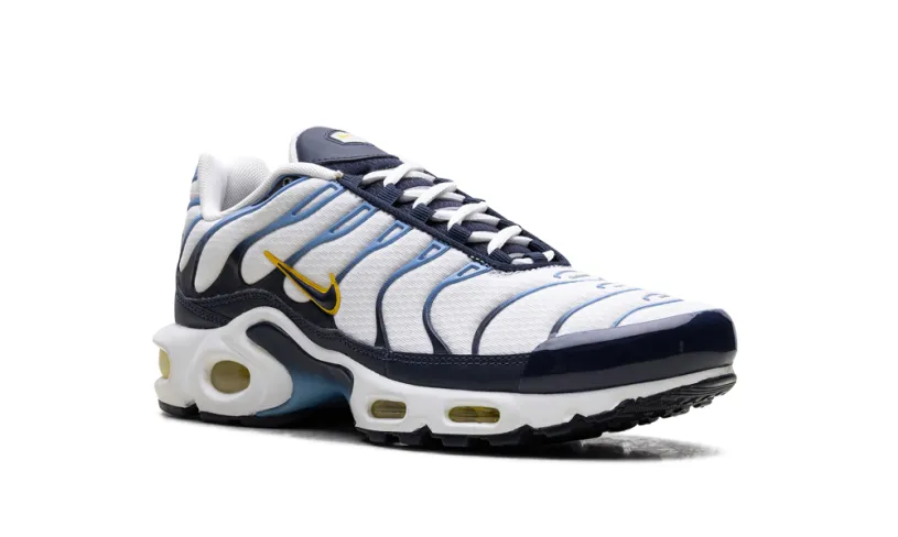 Nike Air Max Air Max Plus 