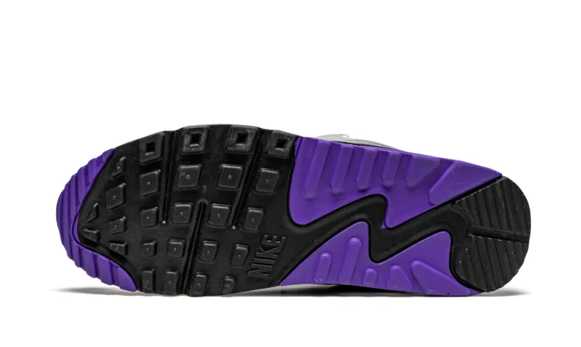 Nike Air Max Air Max 90 'Hyper Grape'