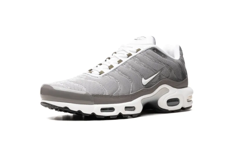 Nike Air Max Air Max Plus SE 'Flat Pewter' 