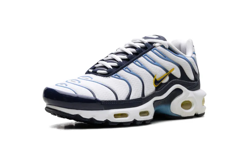 Nike Air Max Air Max Plus 