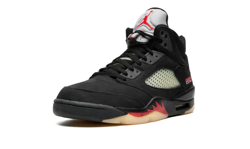 Air Jordan 5 AIR JORDAN 5 WMNS 'Gore-Tex' 