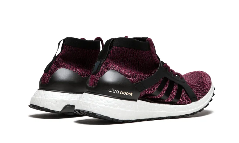 Adidas Ultraboost ULTRABOOST X ALL TERRAIN WMNS
