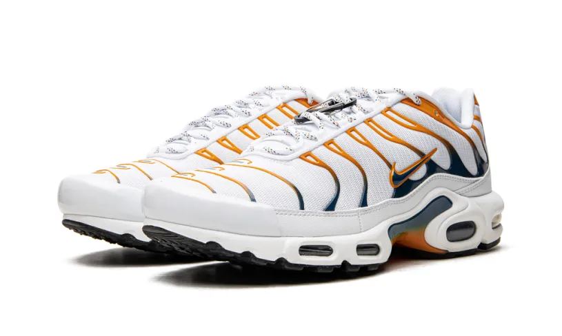 Nike Lifestyle Air Max Plus 'Hiking'