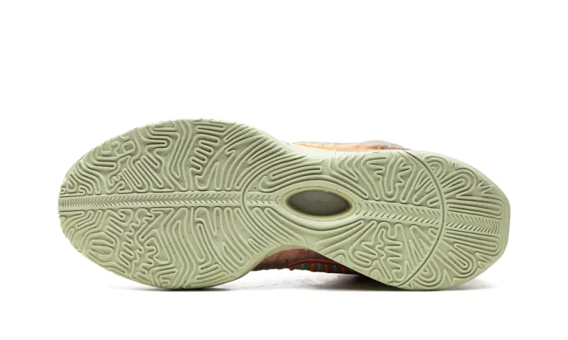 Nike Basketball LeBron 21 'Queen Conch' 