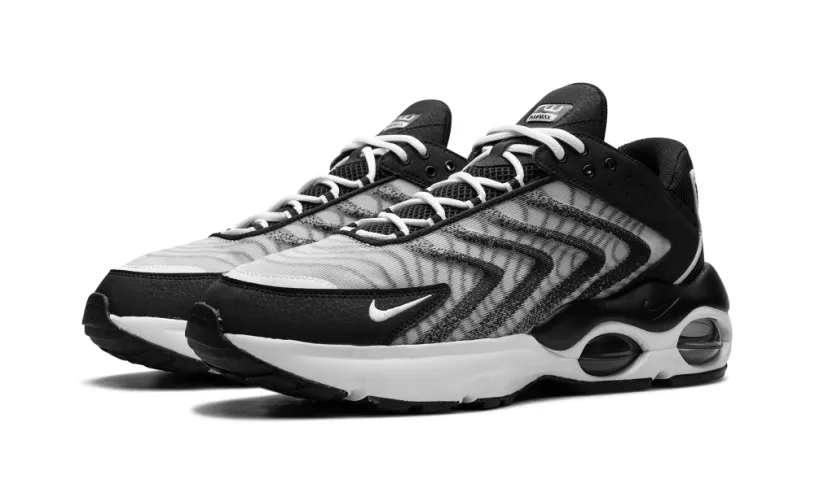 Nike Air Max Air Max TW 'Black White' 