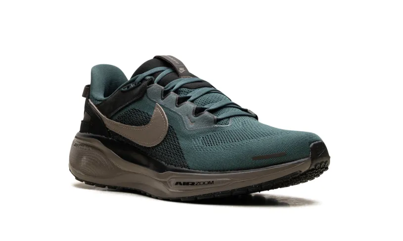 Nike Lifestyle Air Zoom Pegasus 41 SP 'Faded Spruce' 