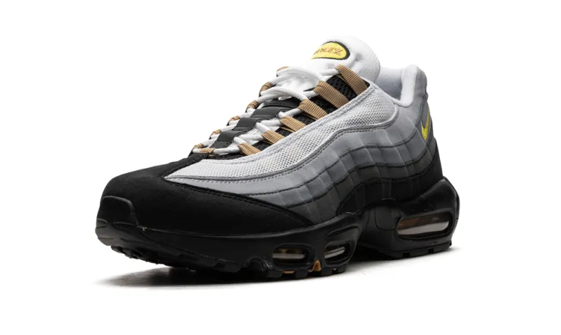 Nike Air Max Air Max 95 'ICONS' 