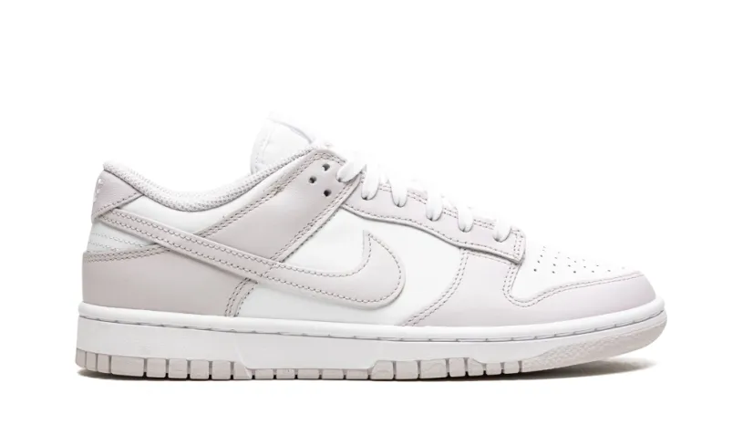 Nike Dunk DUNK LO MNS WMNS 'Venice' 